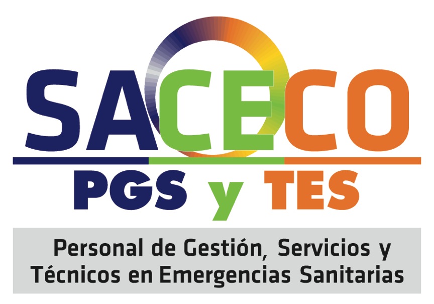 ESCRITO DE SACECO A LA DIRECCIÓN GENERAL DE PROFESIONALES DEL SAS