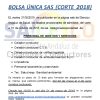 BOLSA ÚNICA SAS (CORTE 2018)