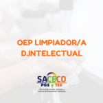 LISTADOS DEFINITIVOS OEP LIMPIADOR/A